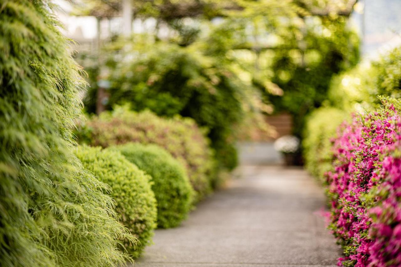Garden Residence ลานา ภายนอก รูปภาพ